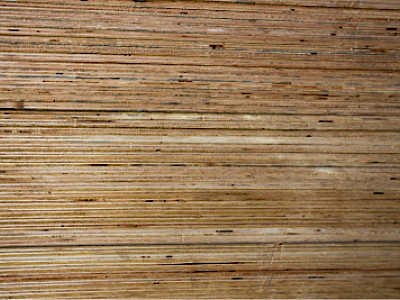 Poplar plywood